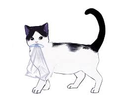 How to Draw a Cat
