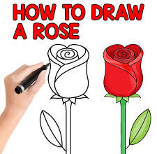 How to Draw a Rose