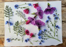 how to dry flowers

