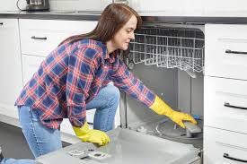 how to clean a dishwasher

