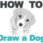 how to draw a dog