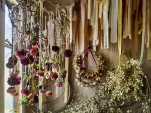 how to dry flowers

