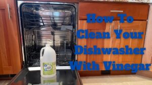 how to clean a dishwasher

