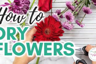 how to dry flowers