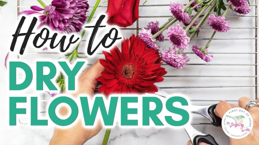 how to dry flowers