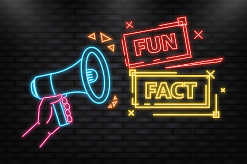 fun facts about me