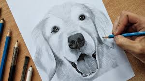 how to draw a dog